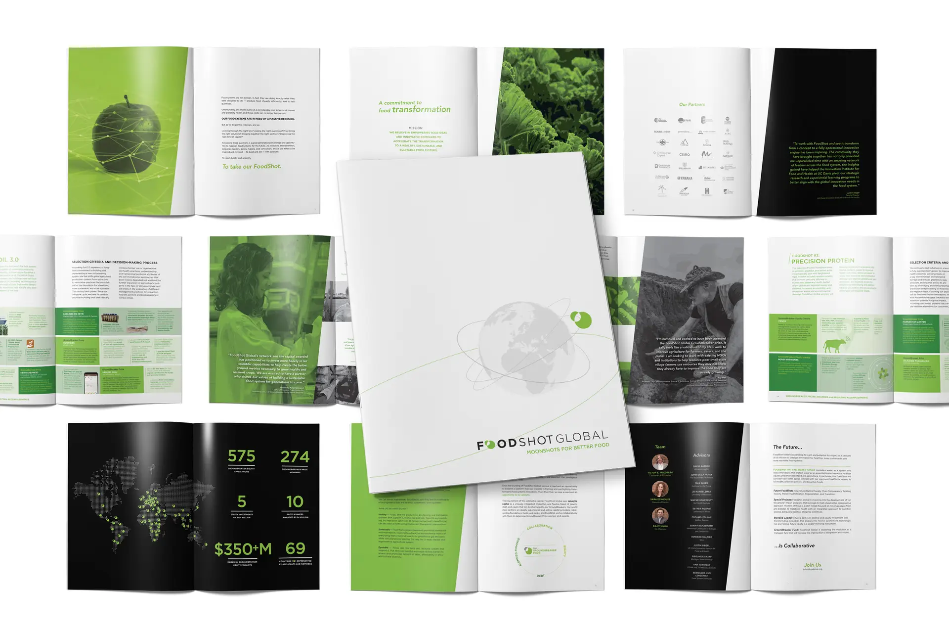 image of FoodShot Global brochure design by Digges Design