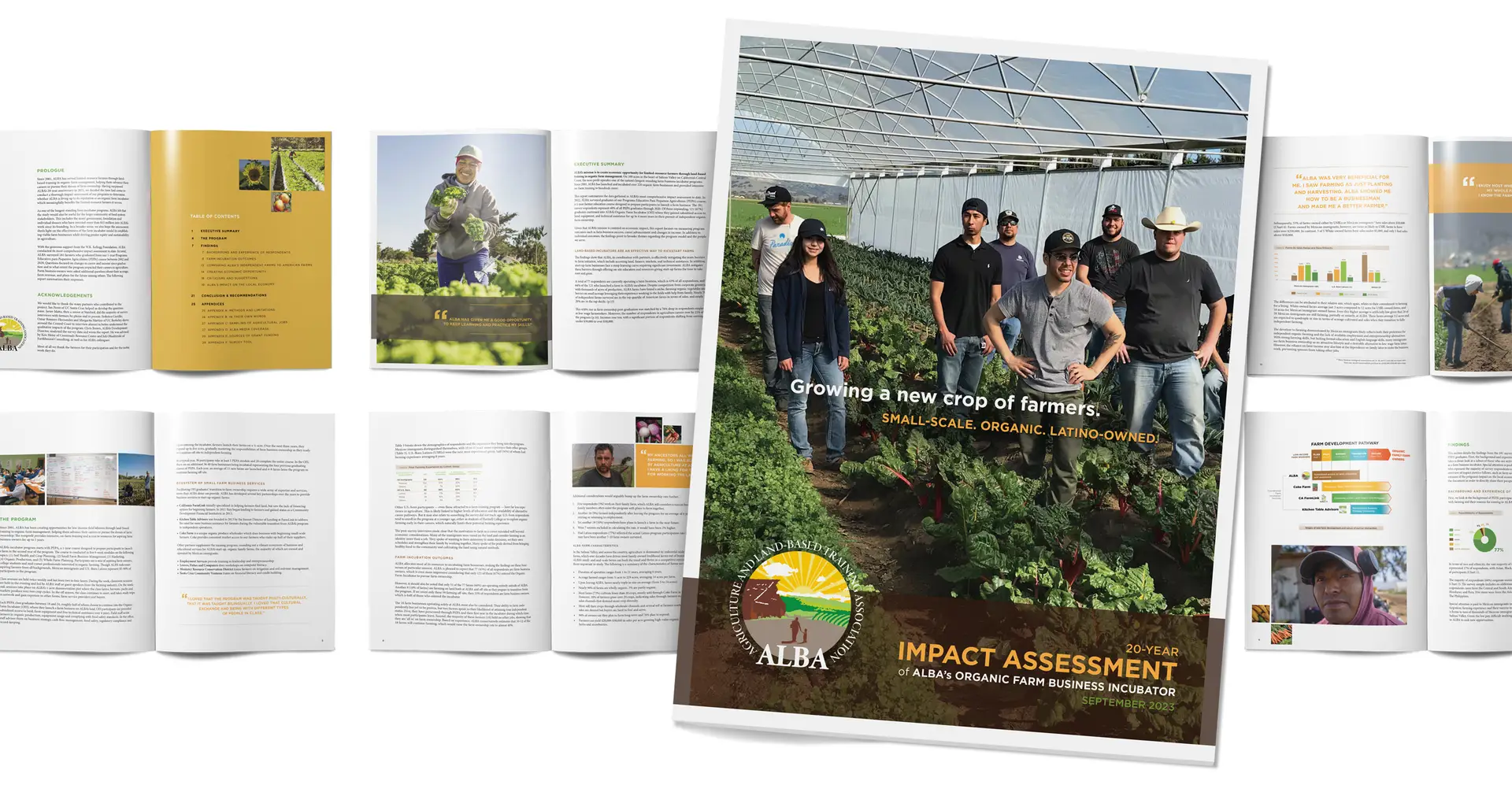 image of ALBA annual report layout by Digges Design