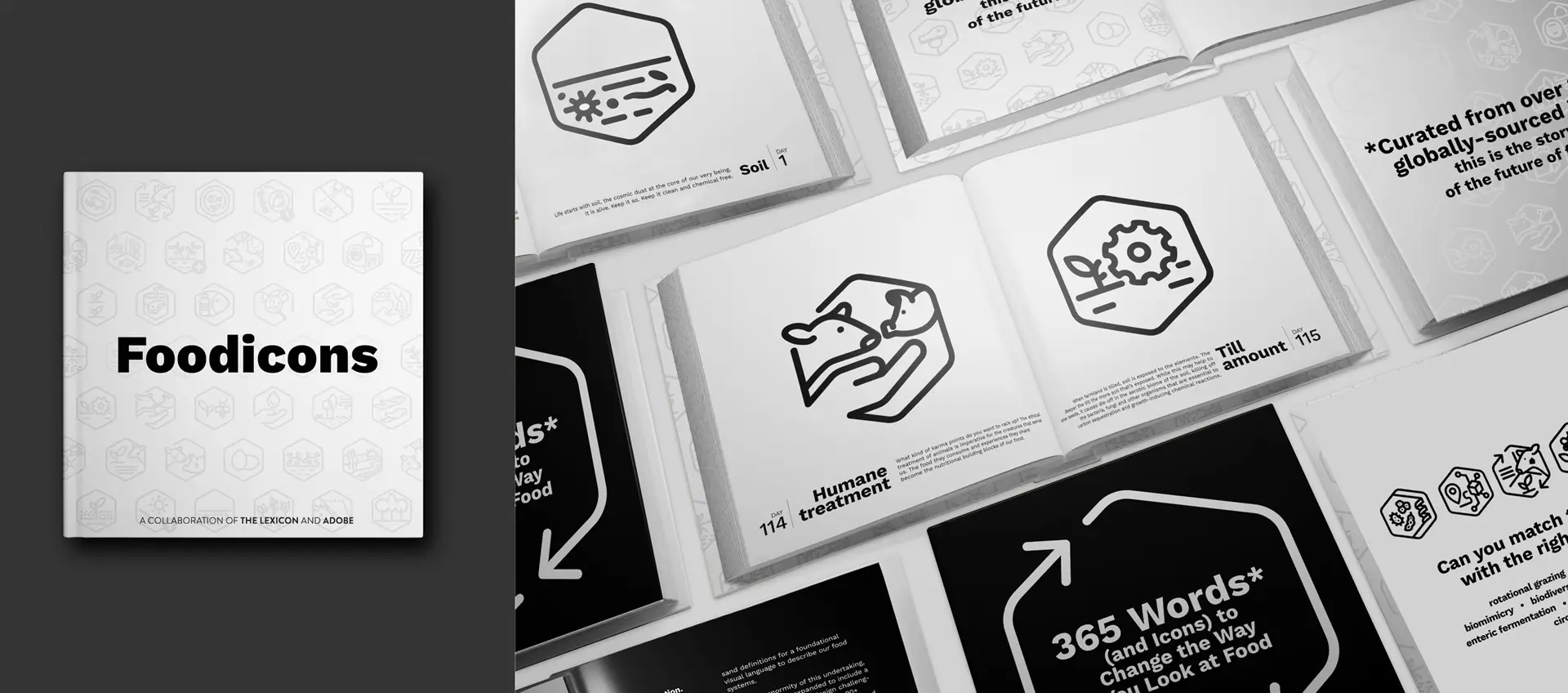 Foodicons book layout design by Digges Design