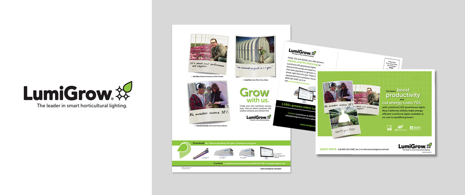 image of brand identity and identity, ad, and marketing collateral for Lumigrow