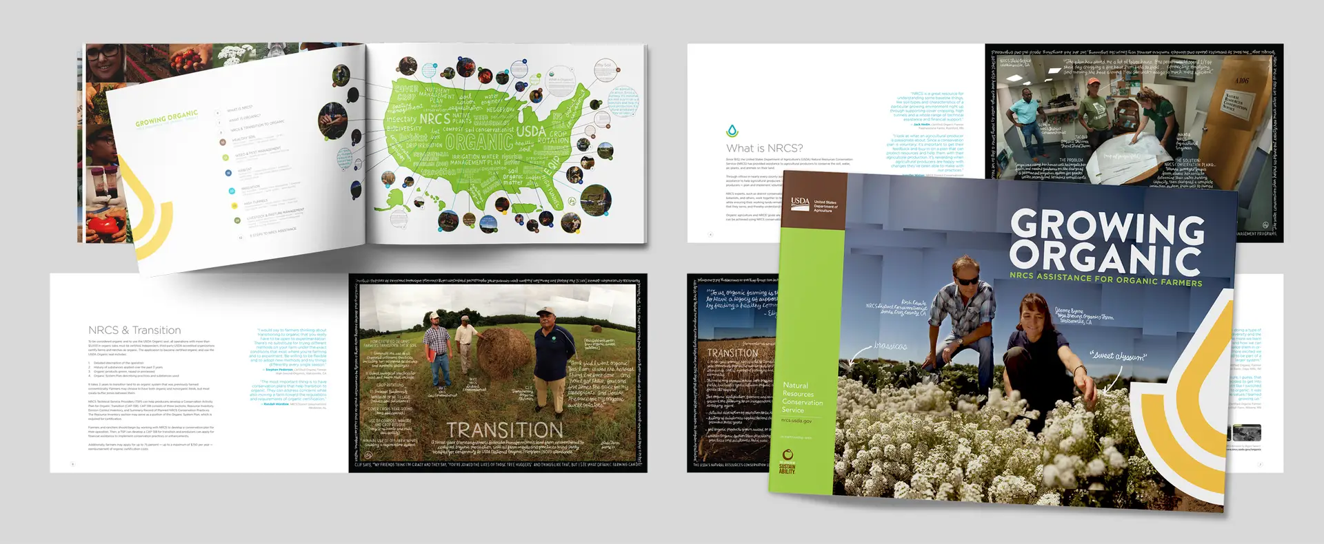 NRCS and Lexicon info artwork brochure by Digges Design